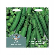 PEA Ambassador