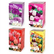 *Best Friends & Colour Boxes
