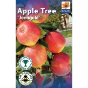 Fruit Trees 1.4m-1.6m