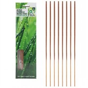 Citronella Incense Stick 40s