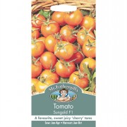 TOMATO Sungold F1.
