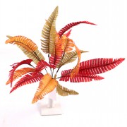 Autumn Bush Fern