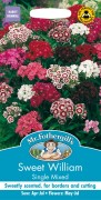 SWEET WILLIAM Single Mixed