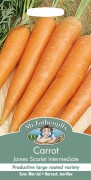 CARROT Burpees Short & Sweet