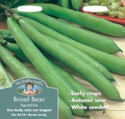 BROAD BEAN Aguadulce