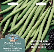CLIMBING BEAN Cobra