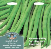 DWARF BEAN Tendrgreen French
