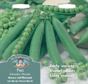 PEA Kelvedon Wonder.