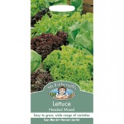 LETTUCE Headed Mixed