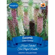 Summer Exotic Collection