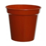 Growing Pots  3in 10pc