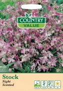 Stock Night Scented