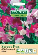 Sweet Pea Old Fashioned