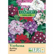 Verbena Bedding Mixed