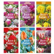 Best Friends & Colour Boxes