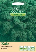 Kale Dwarf Green Curled