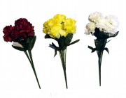 Bunch Carnation/Chrysanth