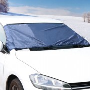 Frost Screen Protector