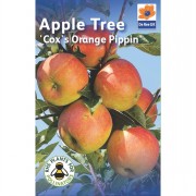 Fruit Trees 1.4m-1.6m