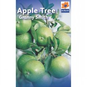 Fruit Trees 1.4m-1.6m