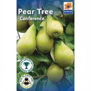 Fruit Trees 1.4m-1.6m