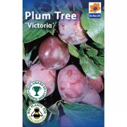 Fruit Trees 1.4m-1.6m