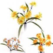 Spring Bunch Daffodil Mini