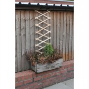 Trellis 5x1ft