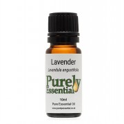 Oil Lavender 10ml