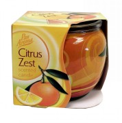 Sleeve Candle Citrus/Berry