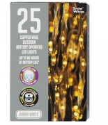 Copper Wire Lights  25 LED