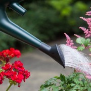 Watering Can 10L Green