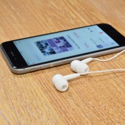 Earphones