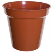 Growing Pots  8in Single