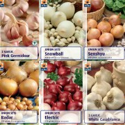 Onions Seed Potatoes & Foods