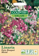 Linaria Fairy Bouquet Mixed
