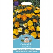 CALENDULA Daisy Mixed