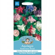AQUILEGIA Biedermeier Mixed