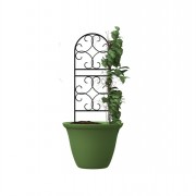 Pot Trellis Scroll 91x31cm