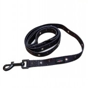 *Funk The Dog Lead