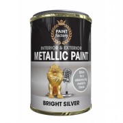 Metallic Silver Paint