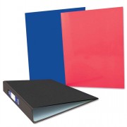 Ringbinder Assorted Designs