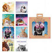Boxed Cards Birthday Pets