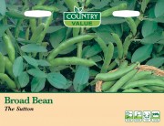 Broad Bean The Sutton.