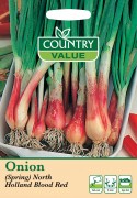 Onion Spring North Holland