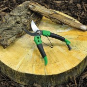 Secateurs Budget