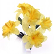 Spring Bunch Daffodils