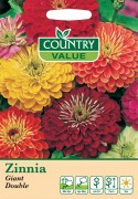 Zinnia Giant Double