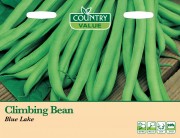 Climbing Bean Blue Lake.