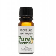 Oil Clove Bud 10ml